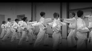 Image result for Nottingham Sankukai Karate