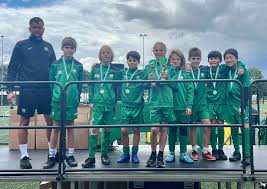 Image result for Leatherhead Football Club