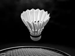 Image result for Maurice Chandler Badminton Club