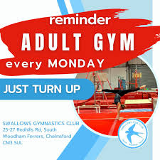 Image result for Swallows Of Helston Gym Club