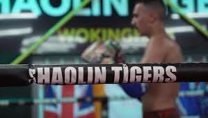 Image result for BERKSHIRE TIGERS THAI