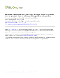 Attēlu rezultāti vaicājumam “Grimmia muehlenbeckii sporophyte”