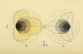 Image result for consciousness