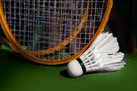 Image result for Basingstoke Racketeers Badminton Club