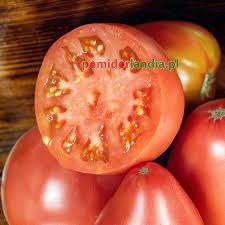 Afbeeldingsresultaat voor anna russian tomato