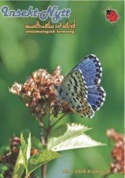 Attēlu rezultāti vaicājumam “Sacchiphantes abietis exuvia”