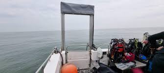 Image result for London Hellfins