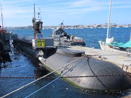 Image result for Dolphin Sub Aqua