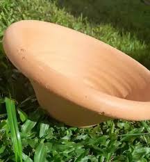 Image result for alguidar