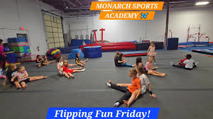 Image result for Monarchs Sports Acrobatics Club