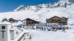 Image result for Enzian