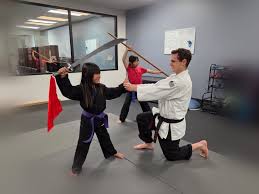 Image result for United Dojos Kickboxing