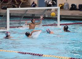 Image result for Invicta Water Polo Club