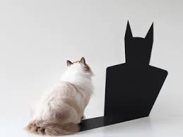 Image result for smargo