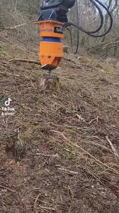 Image result for seppi tehron