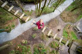Image result for Go Ape! Grizedale