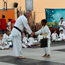 Image result for Norfolk Karate