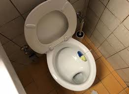 Image result for german toilet