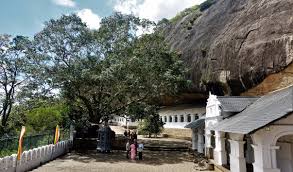 Image result for Дамбулла