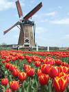 Stuff Dutch People Like | 16629200 people can't be wrong, right ... 
