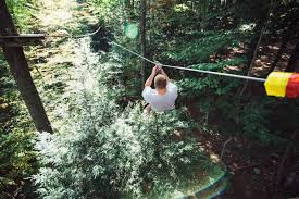 Image result for Extreme Adventures Parkour Club