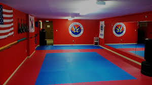Image result for Universal Judo Academies
