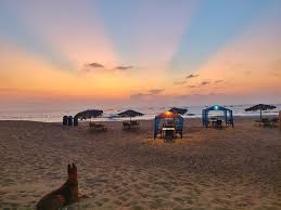 Image result for goa beaches
