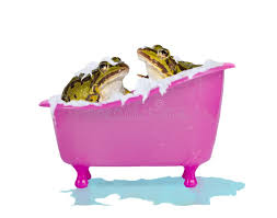 Image result for Bath Amphibians
