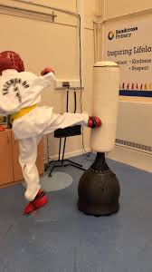 Image result for Redhill & Reigate Taekwon-Do