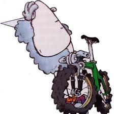 Image result for Bristol Mountain Bike Club