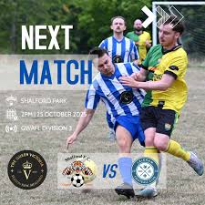 Image result for Shalford F C