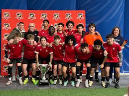 Image result for Sudbury Tchoukball Club