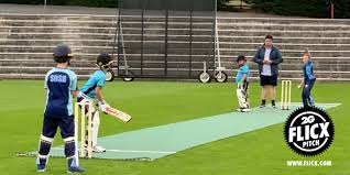 Image result for Sandy Cricket Club