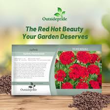 Attēlu rezultāti vaicājumam “Silene chalcedonica fruit”