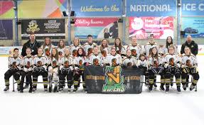 Image result for Glasgow Vipers Roller Hockey Club