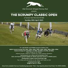 Image result for Taunton Vale Polo Club