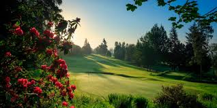 Image result for Crieff Scrabble Club