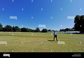 Image result for Tendring Cricket Club