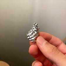 Attēlu rezultāti vaicājumam “Torrubiella arachnophila”