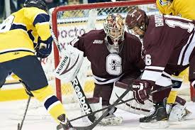 Image result for Pontypool Skater Hockey Club