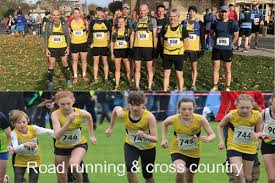 Image result for Stratford-Upon-Avon Hockey Club