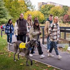 Image result for Bath University Skydiving Club