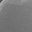 Mycobacteriophage Database | Compare Phages