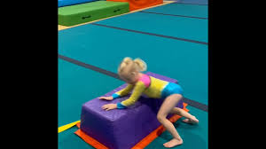 Image result for Border Counties School Of Gymnastics
