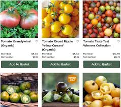 Afbeeldingsresultaat voor broad ripple yellow currant tomato