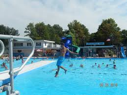 Image result for York University Pool Club
