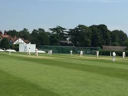 Image result for Beckenham Cricket Club