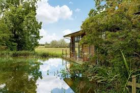 Image result for New Forest/Waterside