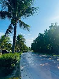 Image result for дорога Бимини