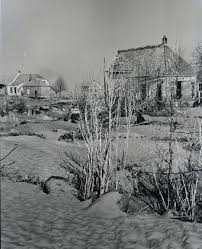 Image result for zeeland 1953